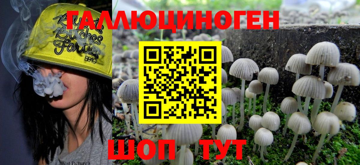 Полевской  Галлюциногенные грибы MAGIC MUSHROOMS  Вход с VPN 