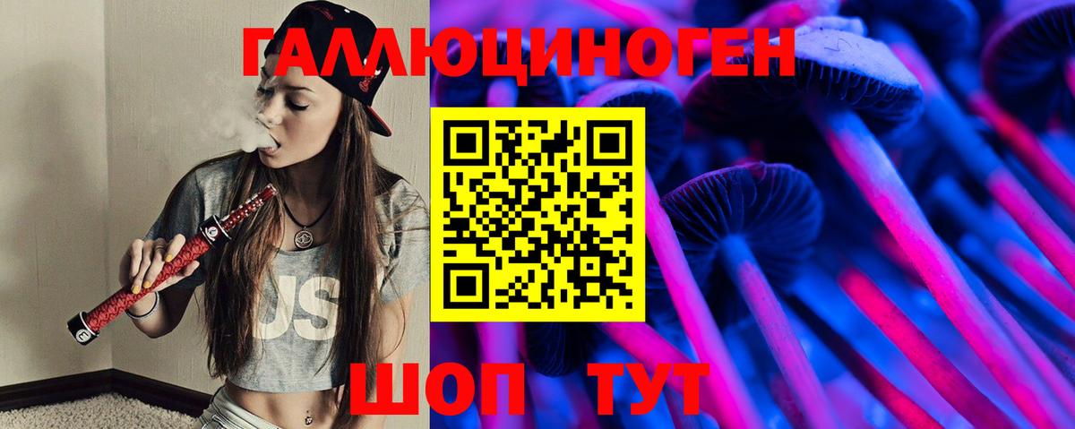Псилоцибиновые грибы Psilocybe Полевской